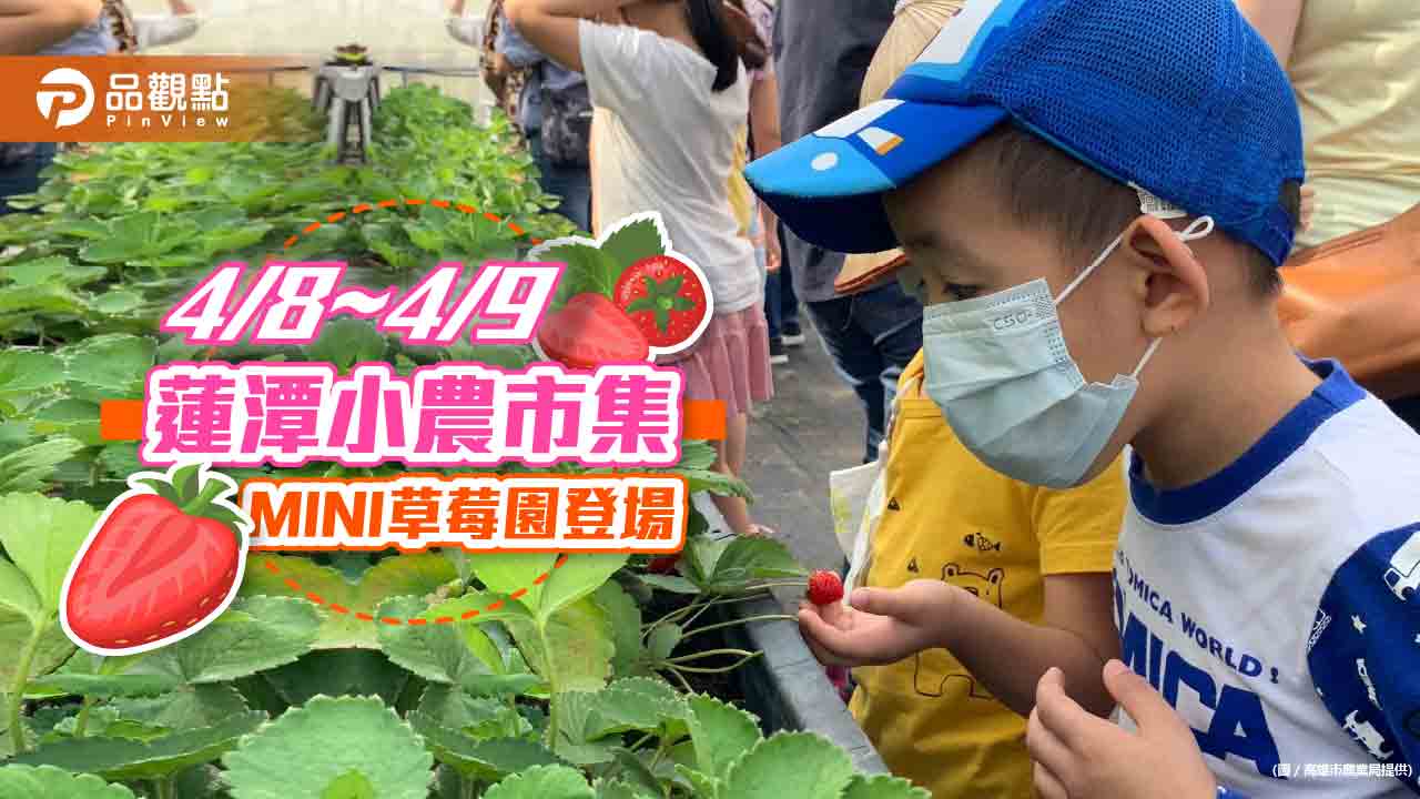 『蓮潭小農市集』MINI草莓園開採  手做草莓創意美味新體驗
