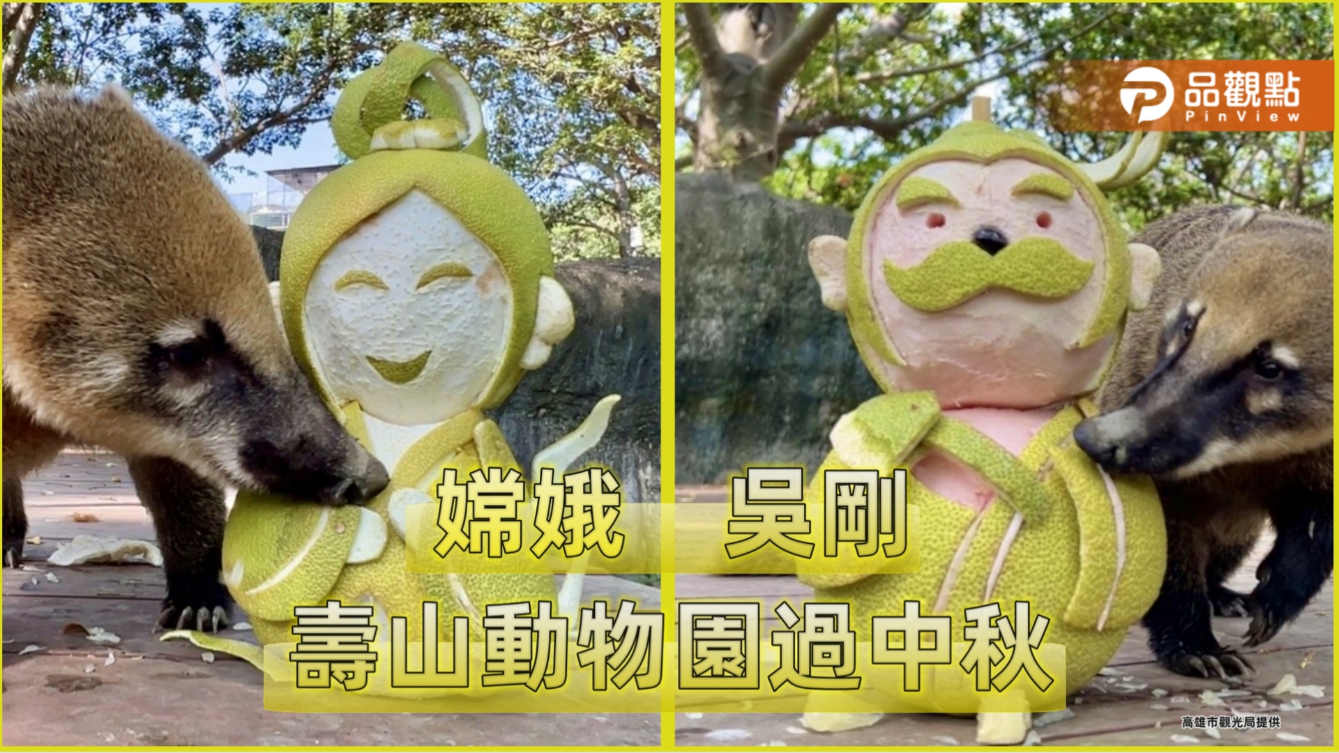 壽山動物園過中秋 嫦娥吳剛造型柚飄香