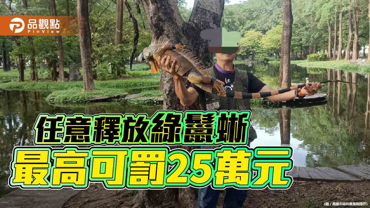 任意釋放綠鬣蜥最高可處25萬元罰鍰 歡迎民眾檢舉