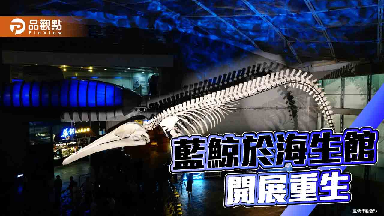全球第25座藍鯨骨骼標本  海生館開展重生