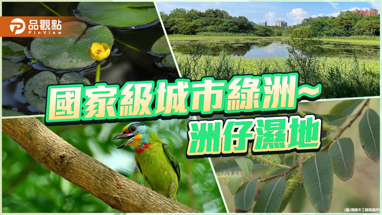 國家級城市綠洲~洲仔濕地  保育台灣特有生物