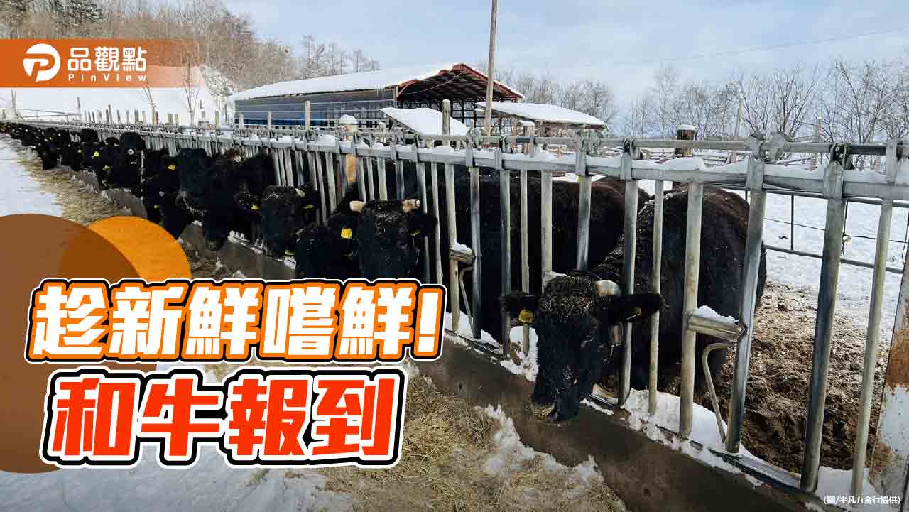 趁新鮮嚐鮮!高雄業者引進北海道「知床牛」