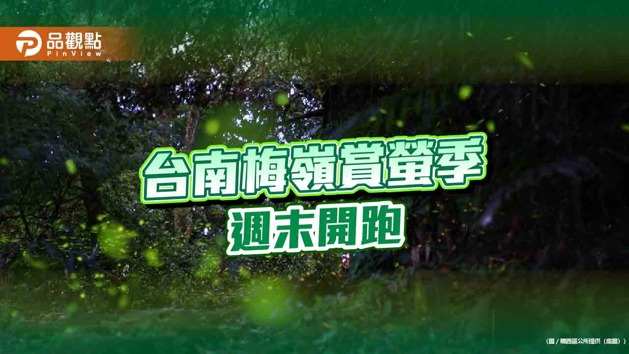 台南梅嶺賞螢季開跑！週六辦市集、音樂會