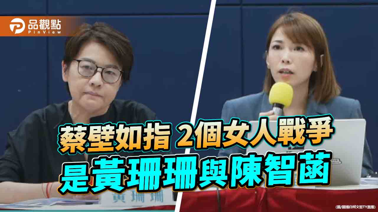 蔡壁如指 2個女人戰爭 是黃珊珊與陳智菡