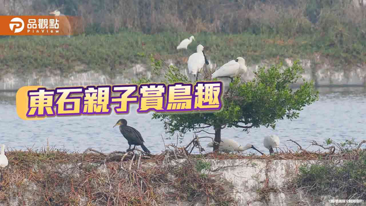 候鳥南遷賞鳥好時節  東石親子觀鳥一日遊  兼具娛樂及知性