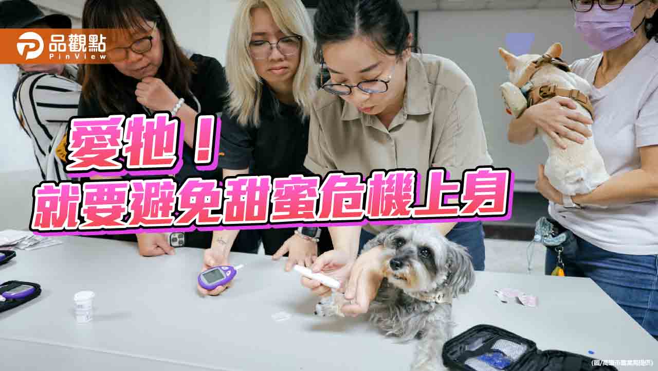高市推「寵物血糖健康計畫」  助飼主避免毛孩甜蜜危機