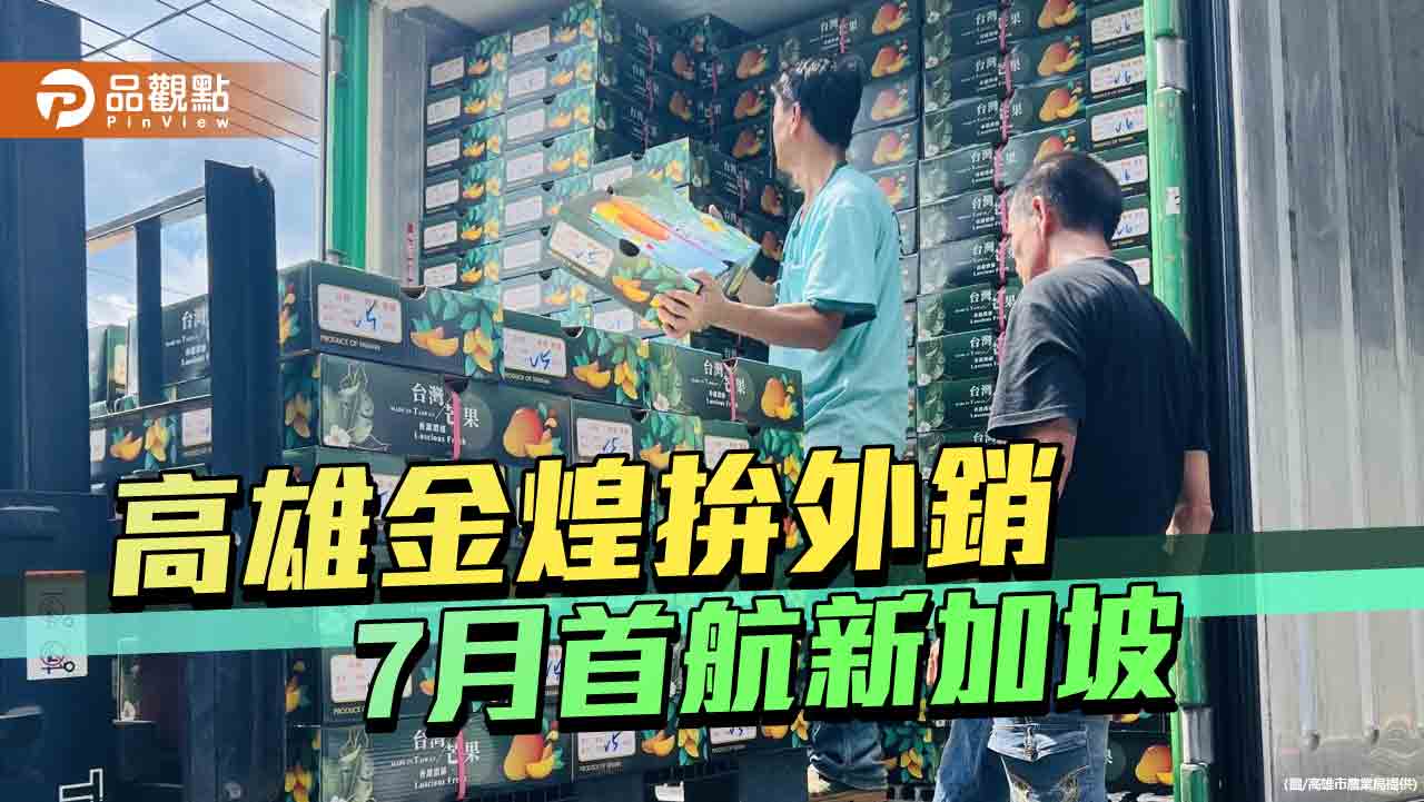 高雄金煌芒果搶攻國際市場　今夏首批啟航新加坡
