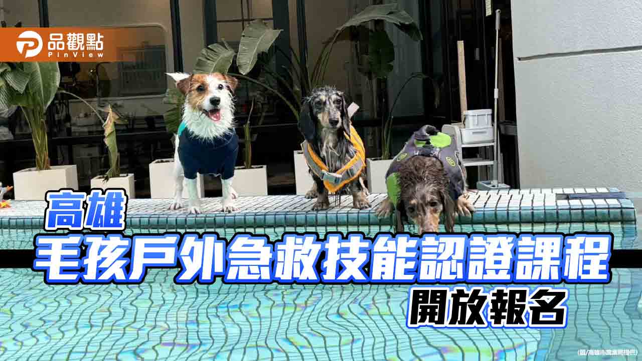 高雄OutDog GoGo戶外急救認證課程　打造寵物友善冒險城市