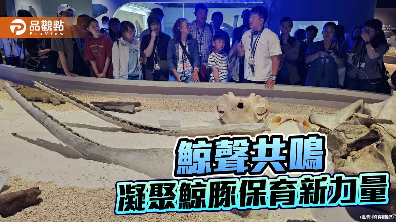 鯨聲共鳴沙龍登場　公民科學凝聚鯨豚保育新力量