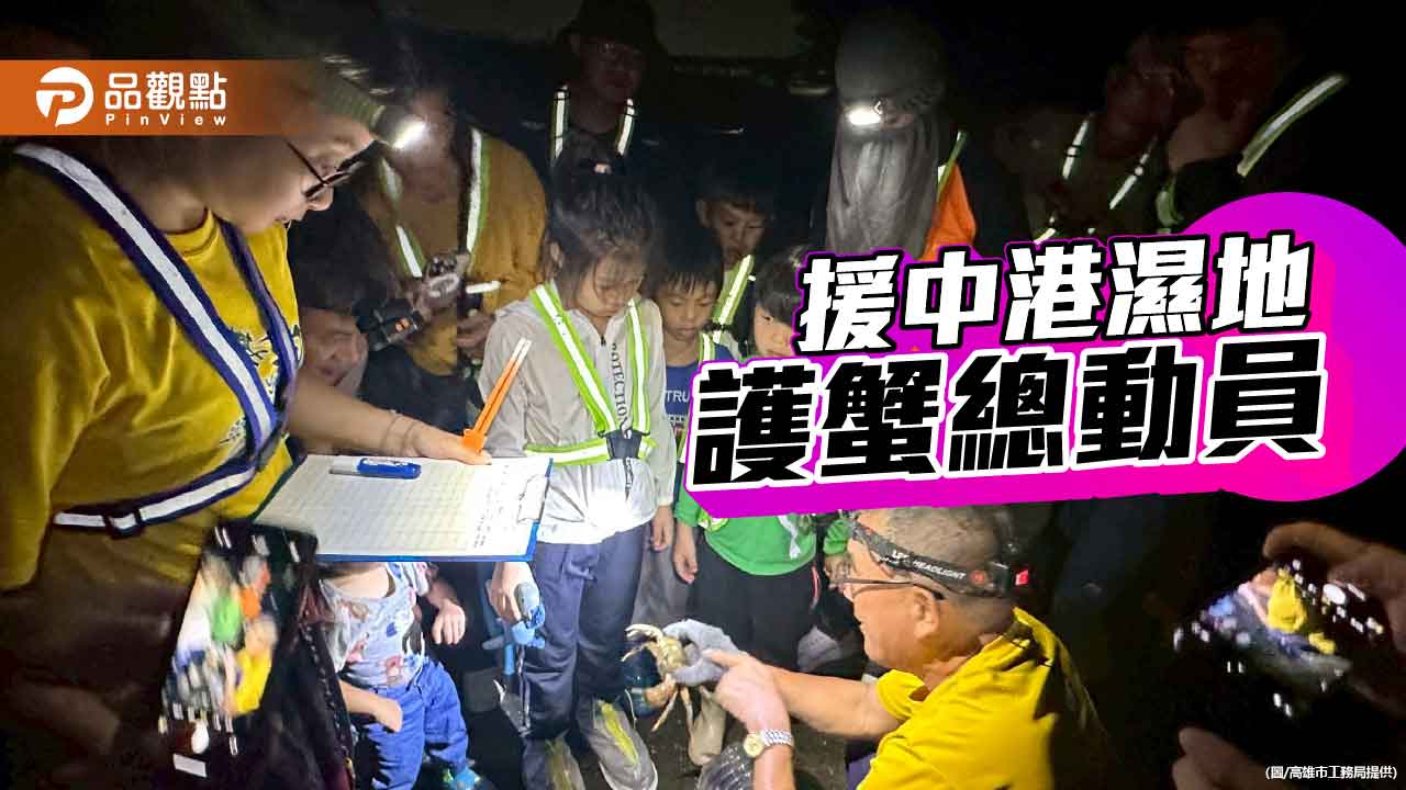 援中港濕地生命大遷徙 志工護航陸蟹媽媽平安釋幼