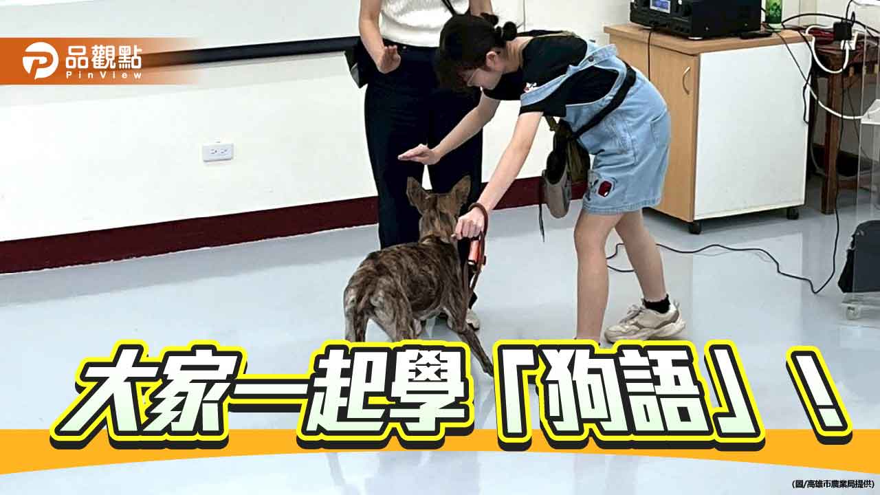 高市動保處暑期訓犬課程  逾200人次參與