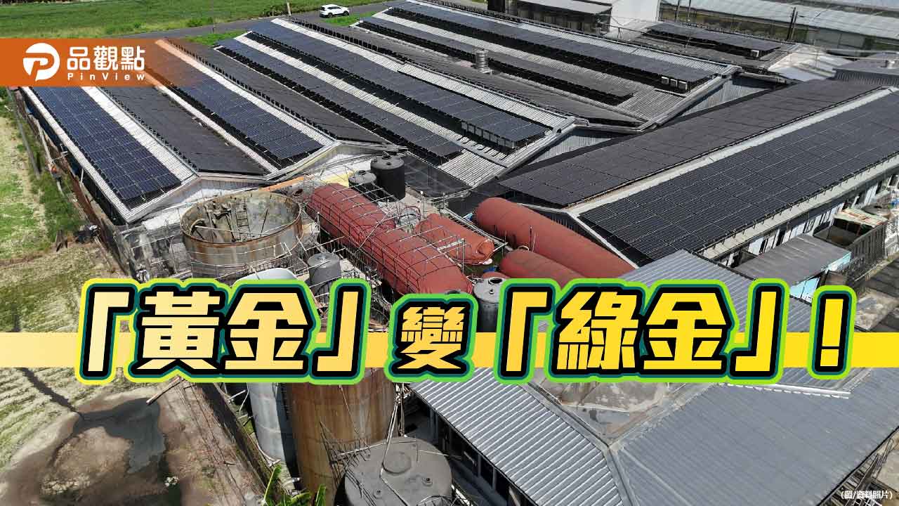 「黃金」變「綠金」!  全國第一家取得綠電憑證民營養豬場在高雄