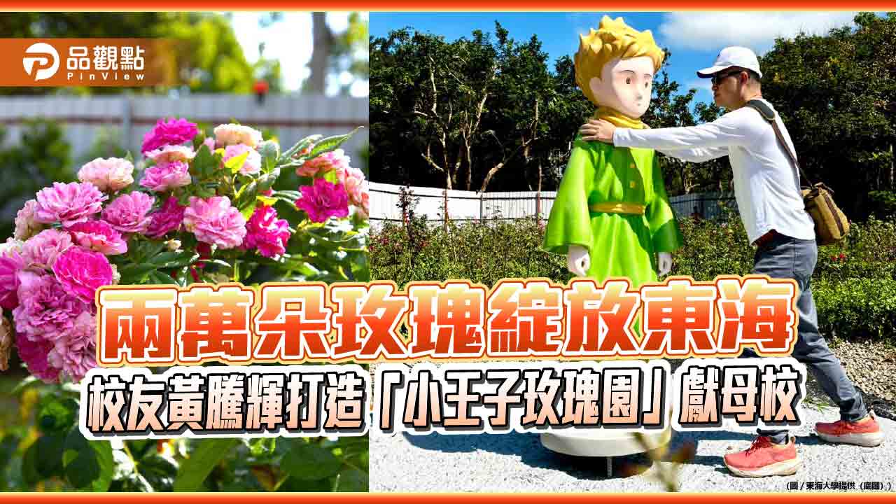 兩萬朵玫瑰綻放東海 校友黃騰輝打造「小王子玫瑰園」獻母校