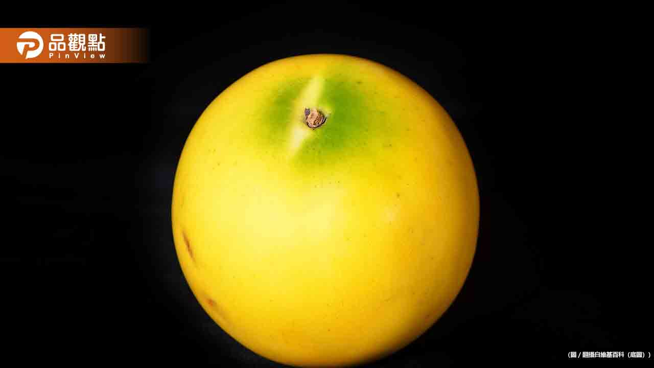 龜吼漁港爆天價宰客「4顆水果賣988元」 他怒轟國旅崩壞