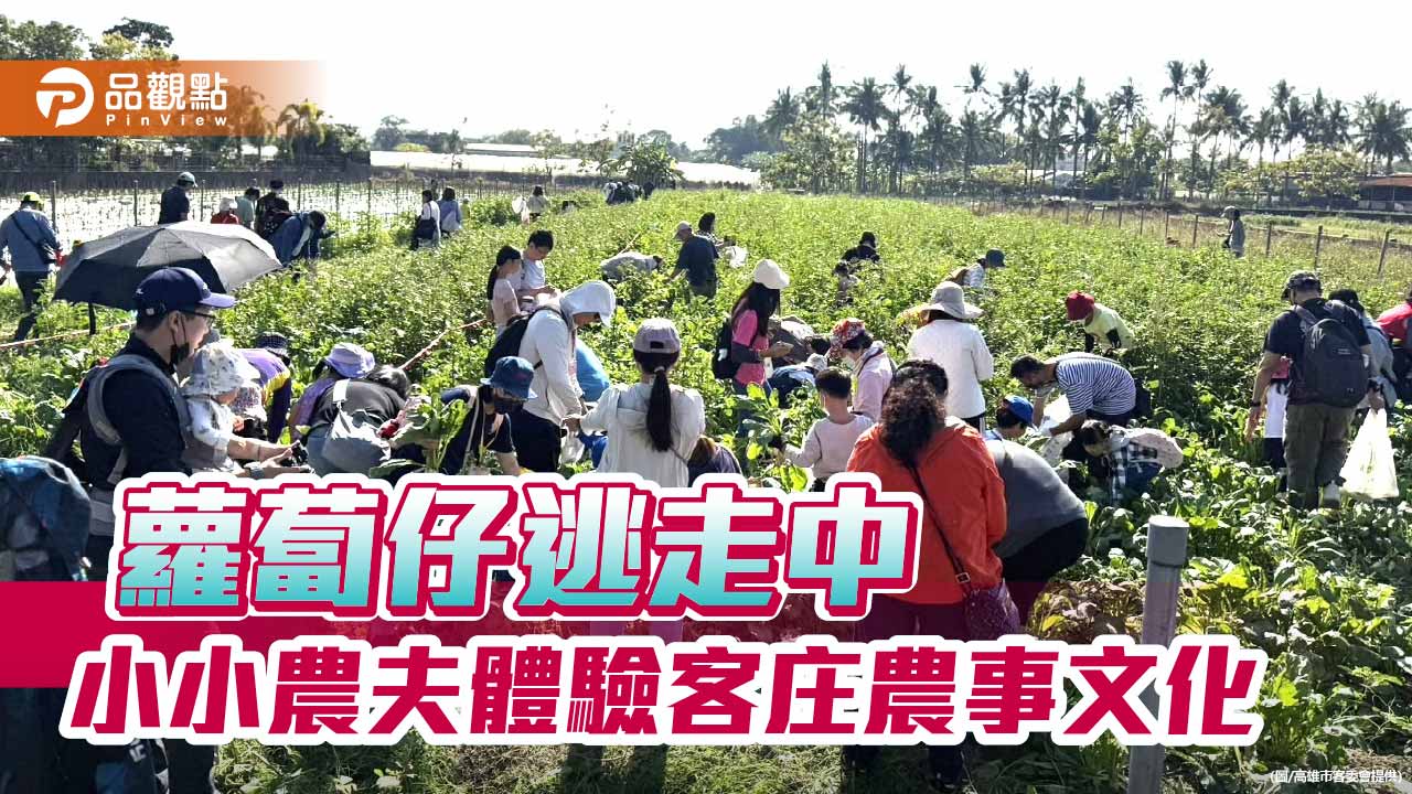 百名幼兒美濃當小農夫！《蘿蔔仔逃走中》寓教於樂體驗客庄農事文化