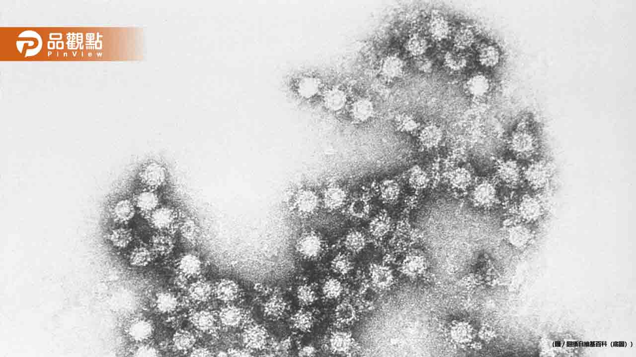 醫護夫妻隱匿子女染腸病毒照上學！釀校園群聚感染重罰12萬