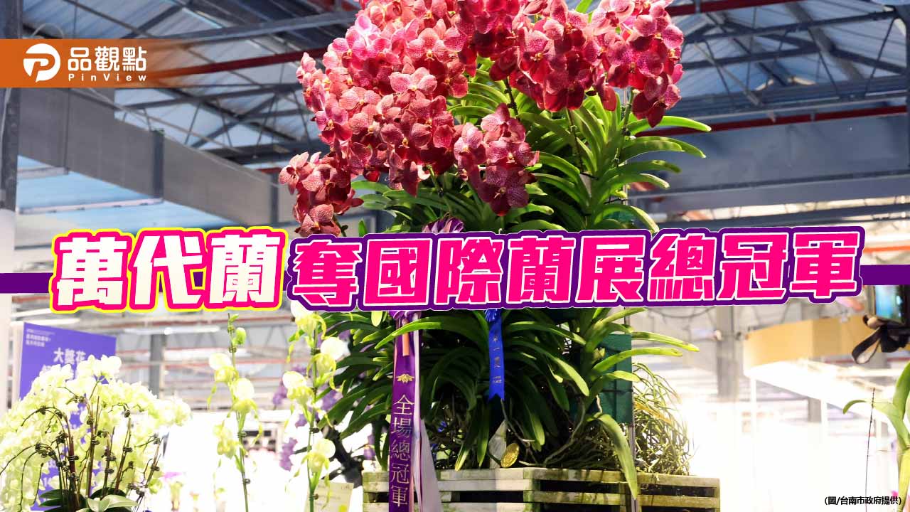 2026台灣國際蘭展大獎花亮相 萬代蘭奪總冠軍