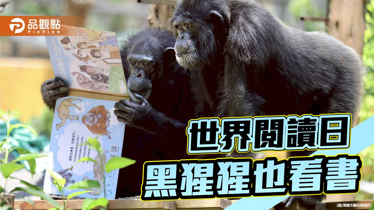 壽山動物園創意藏食書 黑猩猩「閱讀」覓食迎世界閱讀日