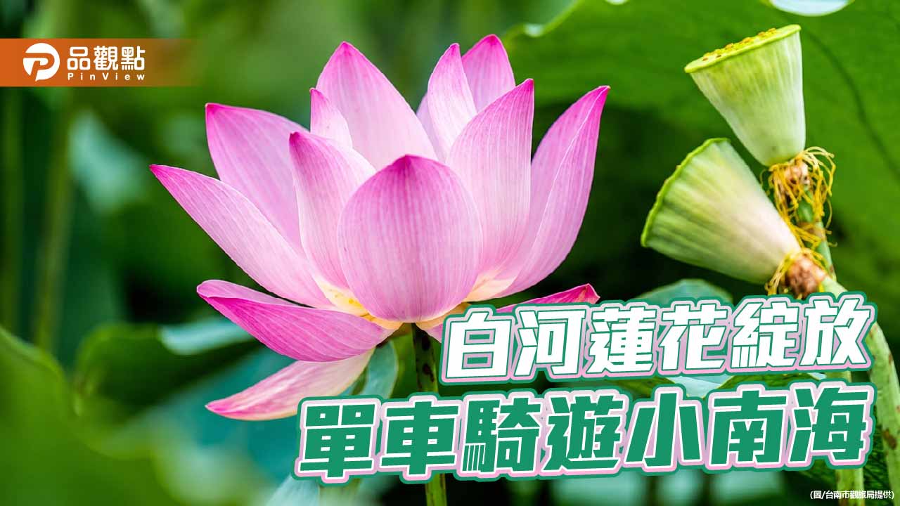 初夏賞蓮正當時　騎遊小南海感受湖畔田園慢旅行