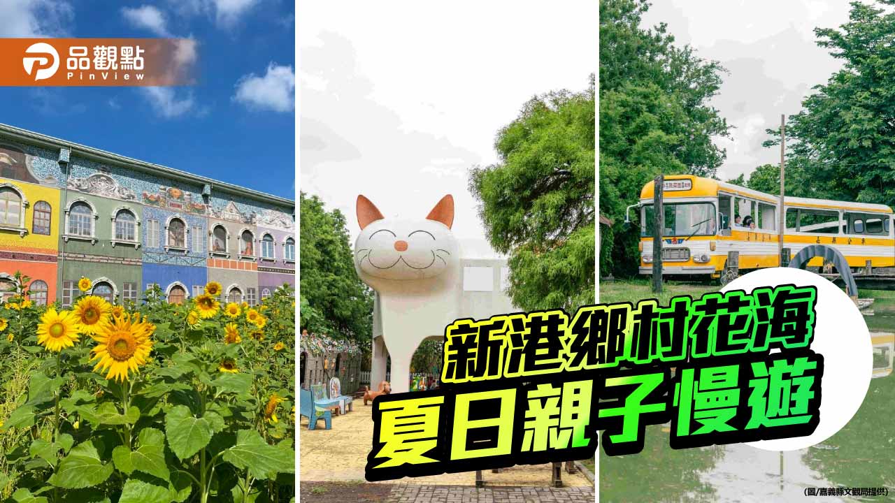 嘉義新港向日葵花海綻放　親子農村慢旅行正夯