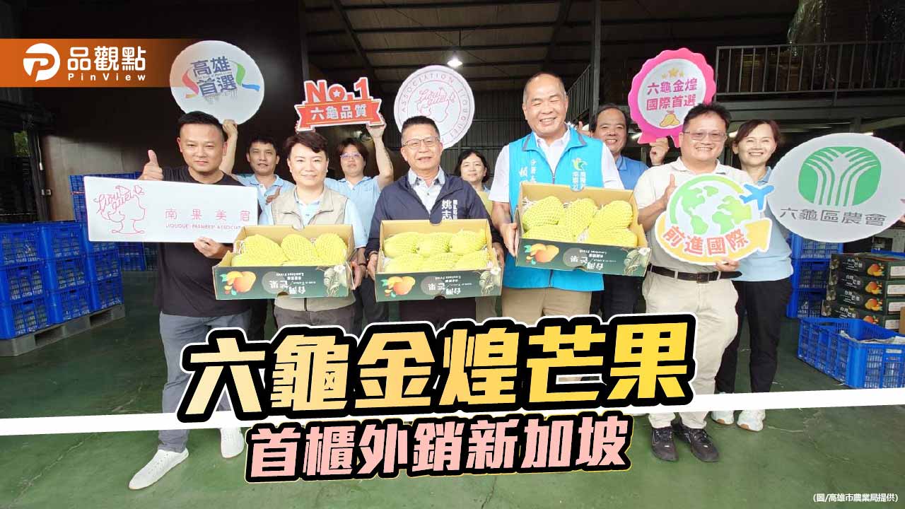 六龜金煌芒果首櫃外銷新加坡 高雄夏季果王搶攻國際市場