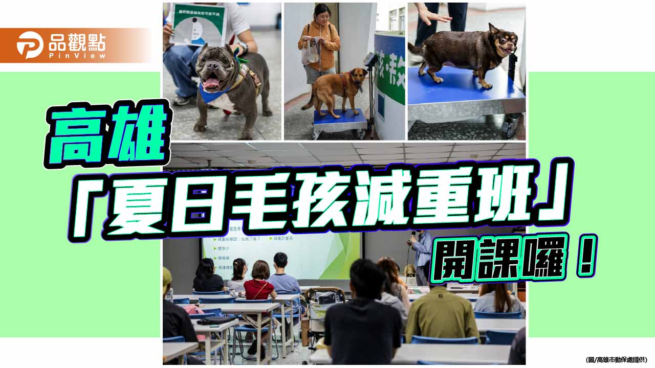 高市動保處開辦毛孩減重班 獸醫授瘦身秘訣陪老犬健康過夏