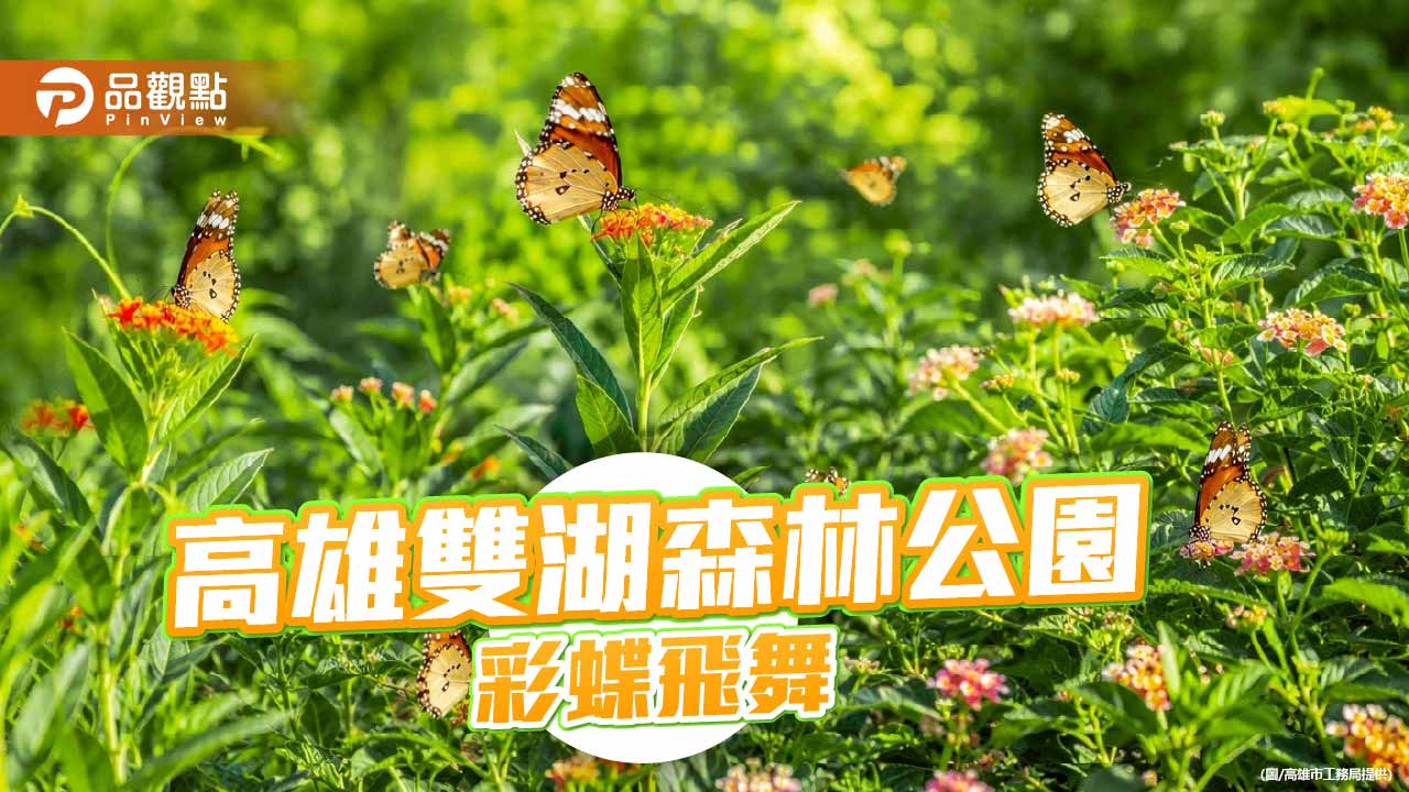 雙湖森林公園生態復育有成　逾20種蝴蝶現蹤打造都市綠洲