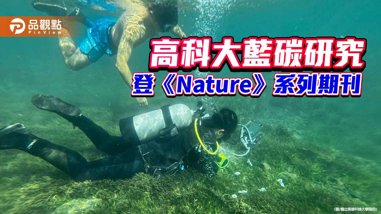 高科大藍碳研究登《Nature》系列期刊　揭海草床「隱形藍碳」助攻淨零與碳權