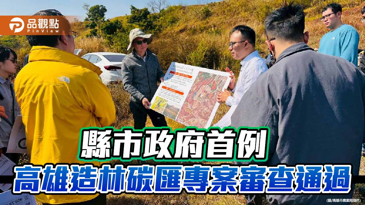 廢耕鳳梨田變身相思林　高雄造林碳匯專案全國地方政府首例