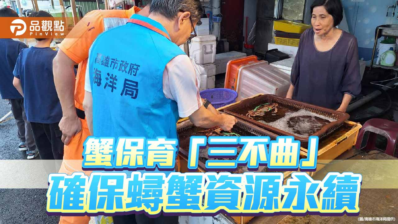 蟳蟹保育推「三不曲」　高雄籲勿捕、勿賣、勿買抱卵母蟹與幼蟹