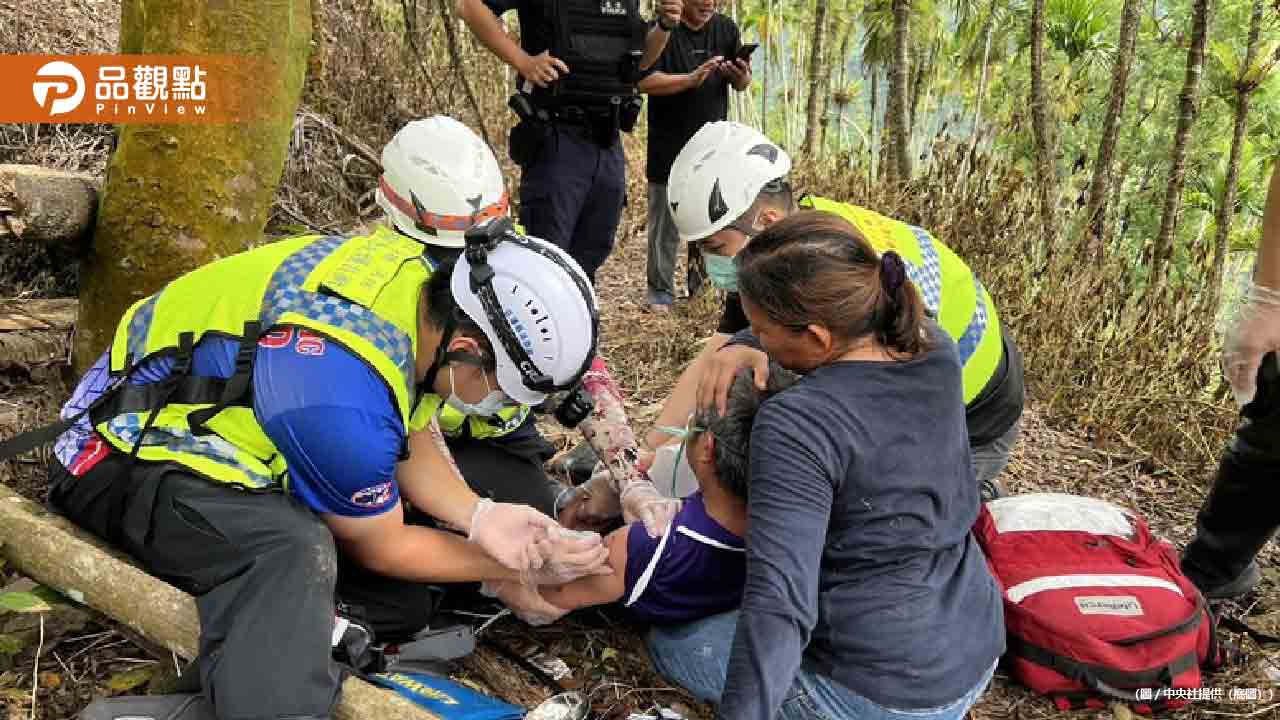 無颱風登陸虎頭蜂數量暴增!花蓮農民遭圍攻昏迷命危急救