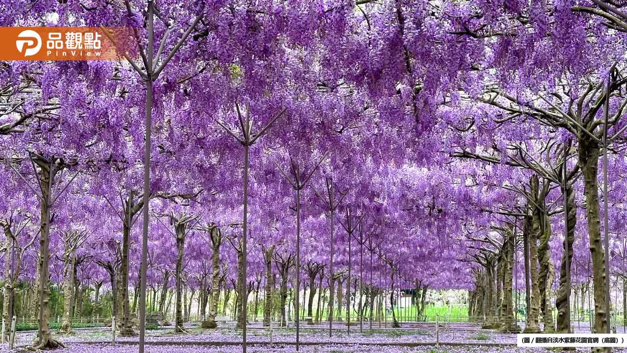 投資5000萬打造淡水紫藤花園!遭檢舉8年不堪負荷宣布永久關閉